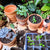 all indoor gardening seeds & supplies - Plantflix