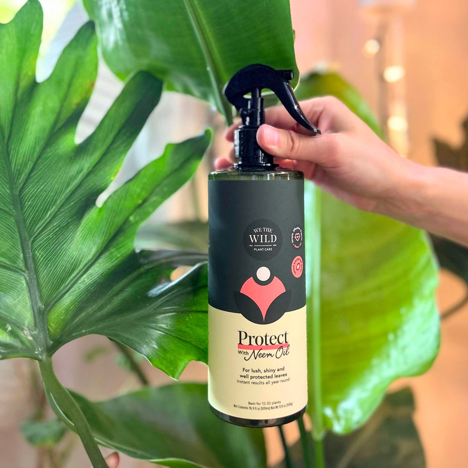 Protect Spray with Neem