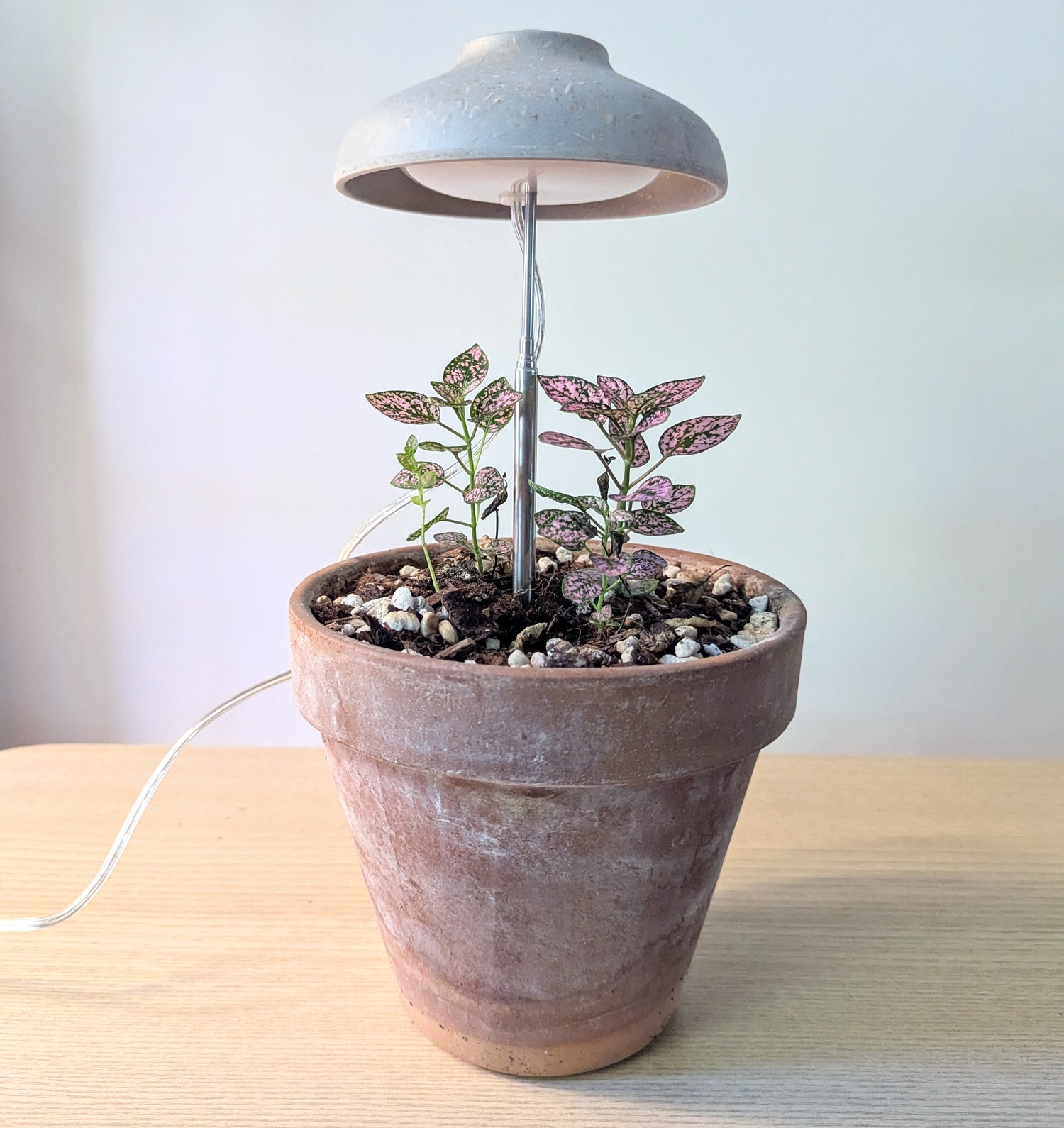 Instant Sun Grow Lamp