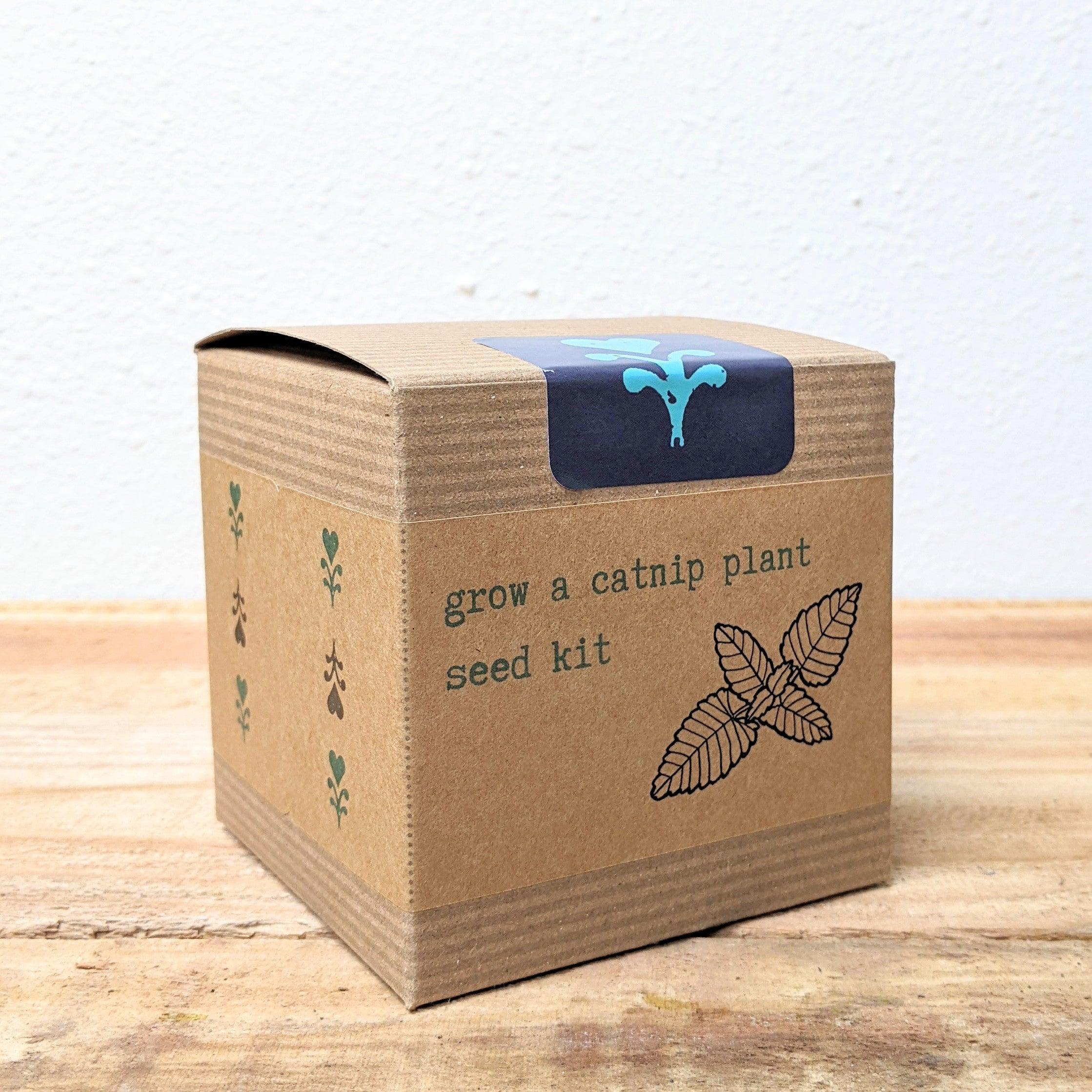 Catnip subscription outlet box