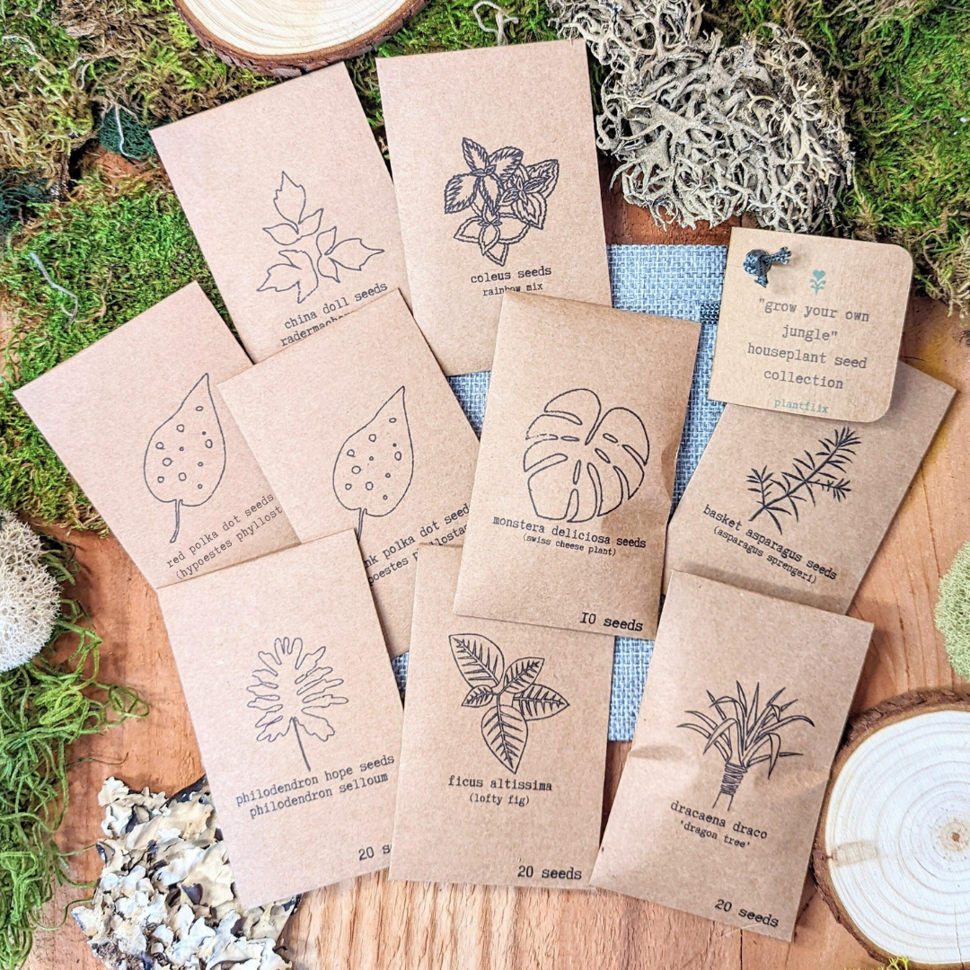 &quot;Grow your own Jungle&quot; Houseplant Seed Collection