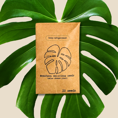 Monstera Deliciosa &quot;Swiss Cheese Plant&quot; Seeds