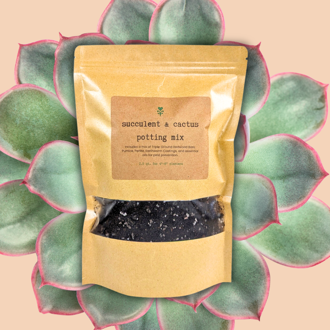 Cactus &amp; Succulent Potting Mix